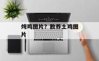 炖鸡图片？散养土鸡图片