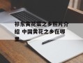 祁东黄花菜之乡照片介绍 中国黄花之乡在哪里