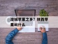 澄城苹果之乡？陕西苹果叫什么