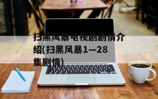 扫黑风暴电视剧剧情介绍(扫黑风暴1—28集剧情)