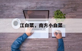 江白菜，南方小白菜