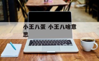 小王八蛋 小王八啥意思
