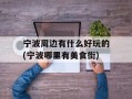 宁波周边有什么好玩的(宁波哪里有美食街)