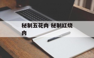 秘制五花肉 秘制红烧肉