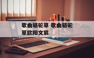 歌曲骆驼草 歌曲骆驼草欧阳文宸