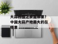 大蒜种植之乡是哪里？中国大蒜产地最大的在哪里