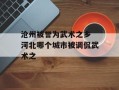 沧州被誉为武术之乡 河北哪个城市被调侃武术之