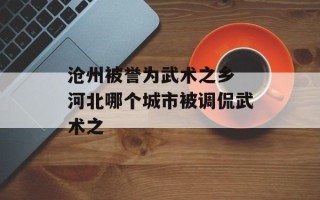沧州被誉为武术之乡 河北哪个城市被调侃武术之