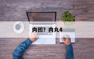 肉团？肉丸4