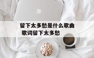 留下太多愁是什么歌曲 歌词留下太多愁