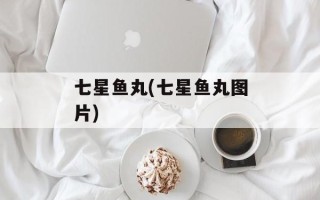 七星鱼丸(七星鱼丸图片)