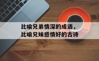 比喻兄弟情深的成语，比喻兄妹感情好的古诗