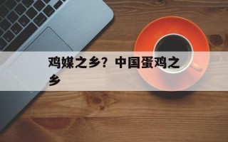 鸡媒之乡？中国蛋鸡之乡