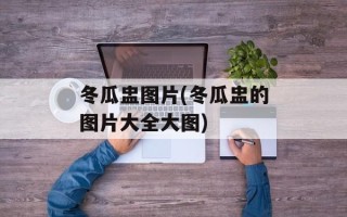 冬瓜盅图片(冬瓜盅的图片大全大图)