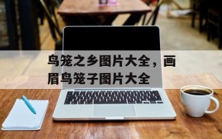 鸟笼之乡图片大全，画眉鸟笼子图片大全