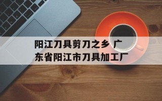 阳江刀具剪刀之乡 广东省阳江市刀具加工厂
