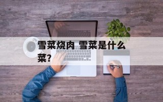 雪菜烧肉 雪菜是什么菜？