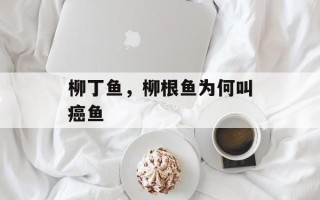 柳丁鱼，柳根鱼为何叫癌鱼