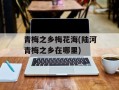 青梅之乡梅花海(陆河青梅之乡在哪里)