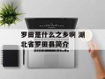 罗田是什么之乡啊 湖北省罗田县简介