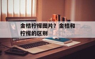 金桔柠檬图片？金桔和柠檬的区别