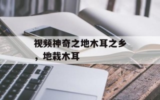 视频神奇之地木耳之乡，地栽木耳