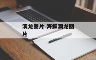 澳龙图片 海鲜澳龙图片