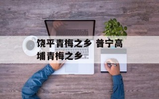 饶平青梅之乡 普宁高埔青梅之乡