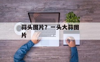 蒜头图片？一头大蒜图片