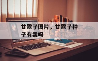 甘露子图片，甘露子种子有卖吗