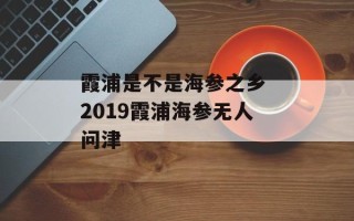 霞浦是不是海参之乡 2019霞浦海参无人问津