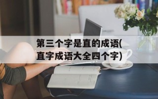 第三个字是直的成语(直字成语大全四个字)