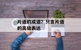 片语的成语？只言片语的高级表达