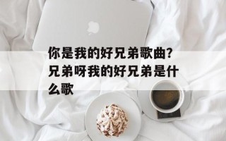 你是我的好兄弟歌曲？兄弟呀我的好兄弟是什么歌