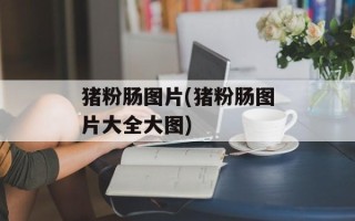 猪粉肠图片(猪粉肠图片大全大图)