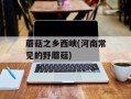 蘑菇之乡西峡(河南常见的野蘑菇)