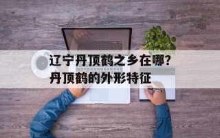 辽宁丹顶鹤之乡在哪？丹顶鹤的外形特征