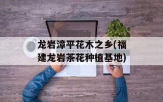 龙岩漳平花木之乡(福建龙岩茶花种植基地)