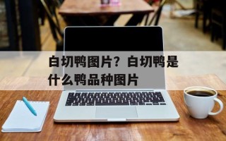 白切鸭图片？白切鸭是什么鸭品种图片