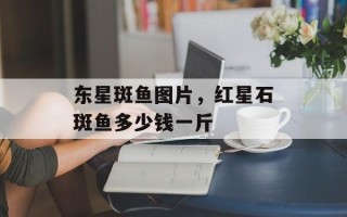 东星斑鱼图片，红星石斑鱼多少钱一斤