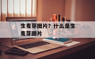 生麦芽图片？什么是生麦芽图片