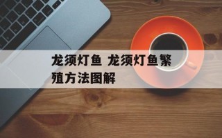 龙须灯鱼 龙须灯鱼繁殖方法图解
