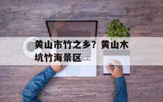 黄山市竹之乡？黄山木坑竹海景区