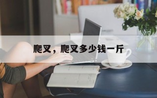 爬叉，爬叉多少钱一斤