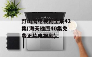 野山鹰电视剧全集42集(海天雄鹰40集免费正片电视剧)