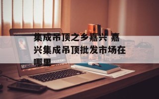 集成吊顶之乡嘉兴 嘉兴集成吊顶批发市场在哪里