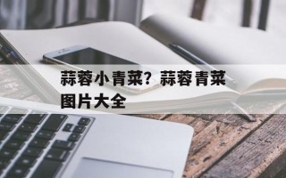 蒜蓉小青菜？蒜蓉青菜图片大全