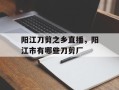 阳江刀剪之乡直播，阳江市有哪些刀剪厂