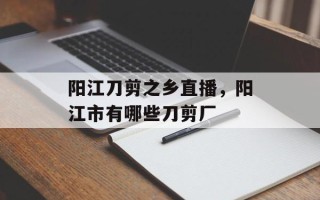 阳江刀剪之乡直播，阳江市有哪些刀剪厂