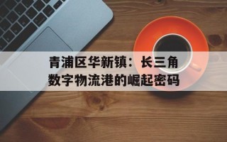 青浦区华新镇：长三角数字物流港的崛起密码